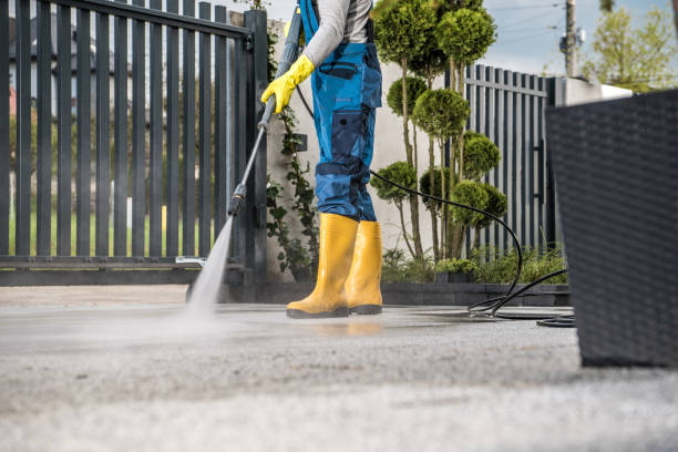 Roof Power Washing Services in Lafayette, OR