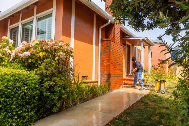 Best Affordable Pressure Washing  in Lafayette, OR